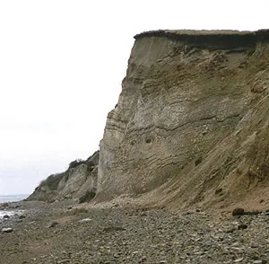 Kysten ved Ertebølle