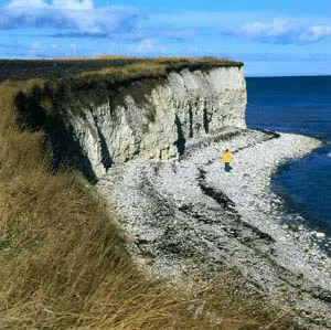 Karlby Klint på Djursland