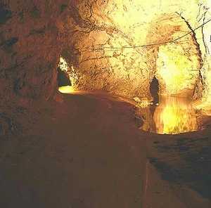 Mønsted og Daugbjerg Kalkgruber