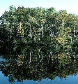 Skjern Å's udspring