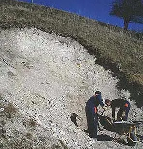 Vokslev Kalkgrav. Afrensning af profil