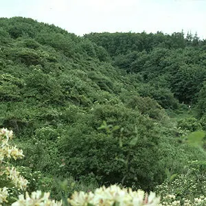 Frodighed i Fosdalen