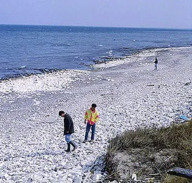 Kysten ved Kællingdal