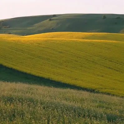 Bakkelandskabet omkring Maglesø