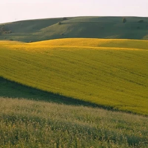 Bakkelandskabet omkring Maglesø