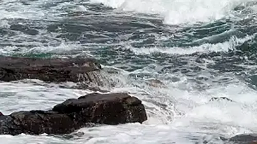 Brusende vand i flod