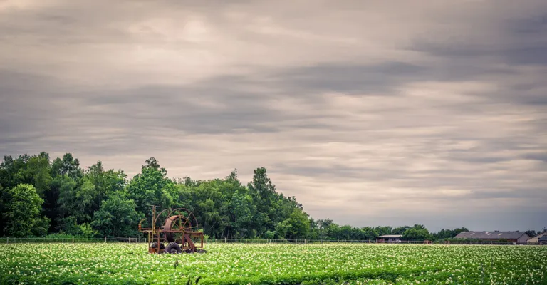 grøn mark og overskyet himmel