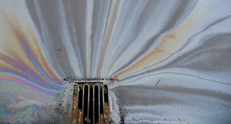 rist som er omringet af farvet vand