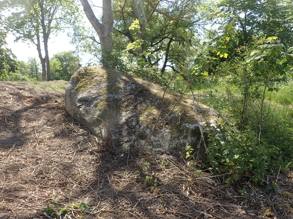Kæmpesten Avnsø
