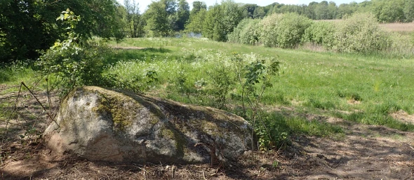 Kæmpesten Avnsø