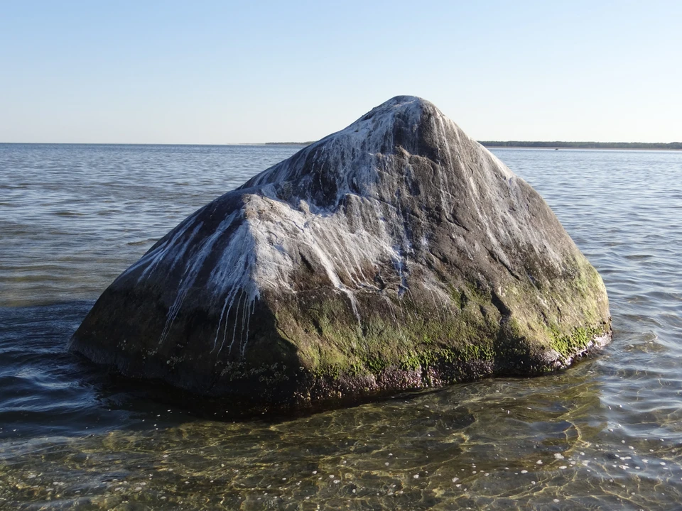 Lerstenen i vandet