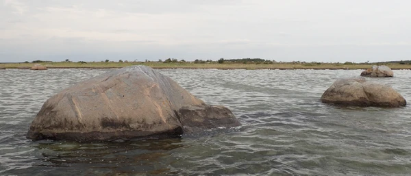 Havbænken
