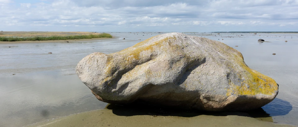 Skildpaddestenen