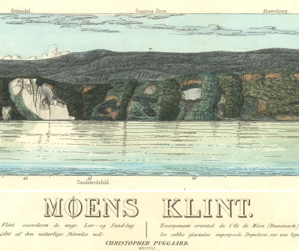 Profiltegning af Møns Klint