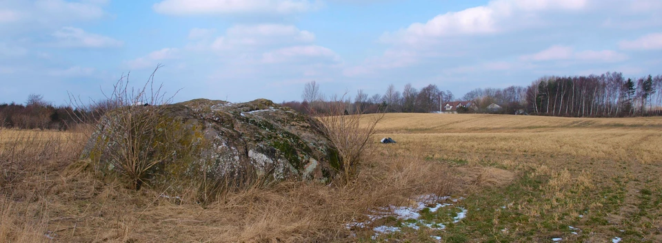 Dyrestenen