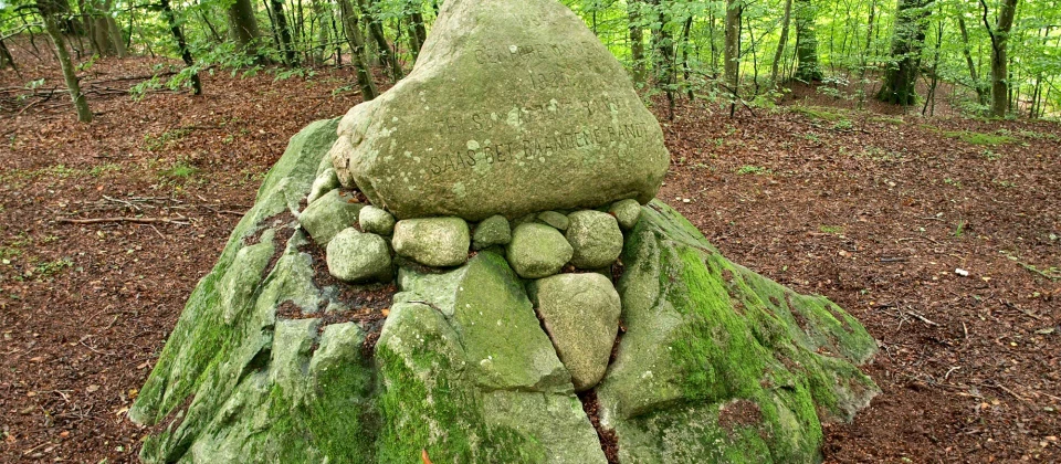 Kæmpesten Sæbygård Skov