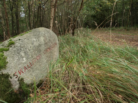 Vejvisersten