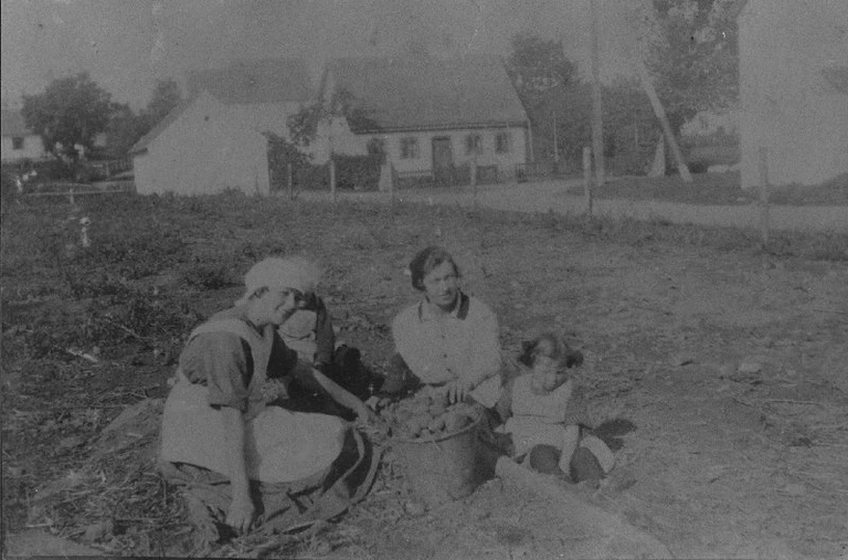 Der skulle selvfølgelig tages kartofler op på Højbjerggaard. Mon ikke både hr og fru Jensen var med til det?
