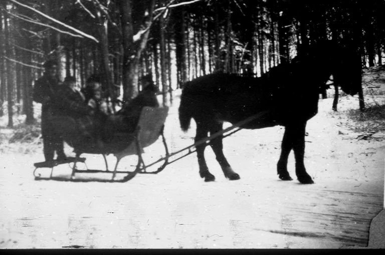 Lægefamilien Lemming-Christensen på kanetur i Tisvilde Hegn.