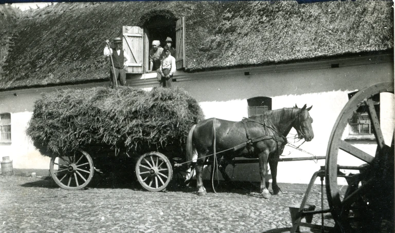 Aflæsning af halm efter høsten, ca. 1930’erne 