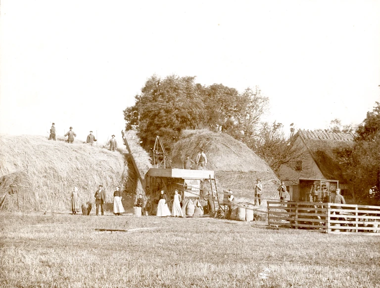 Et stationært tærskeværk ved Stenhavegård, Nejlinge, ca. 1912