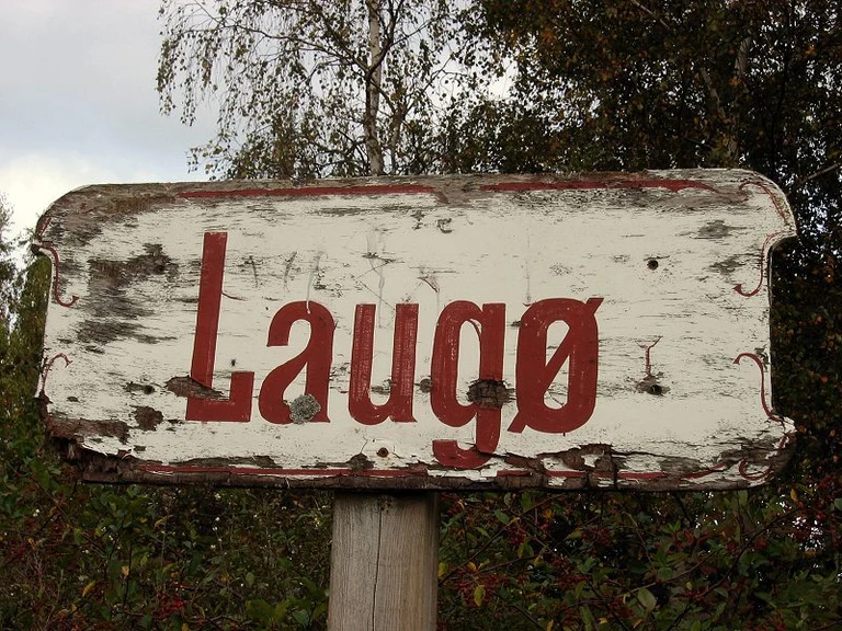 Det nedslidt skilt, 2006