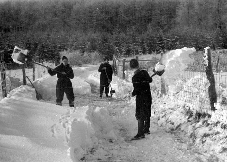 Militærnægtere skovler sne, vinteren 1954.