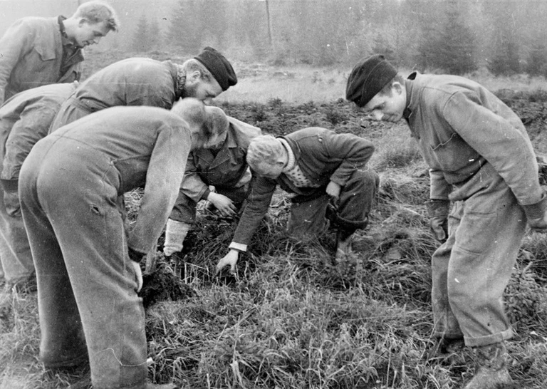 Militærnægtere, 1954.