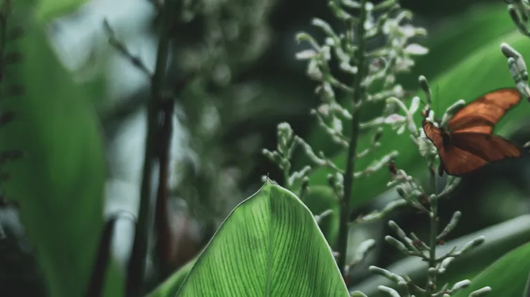 Personlig assistance