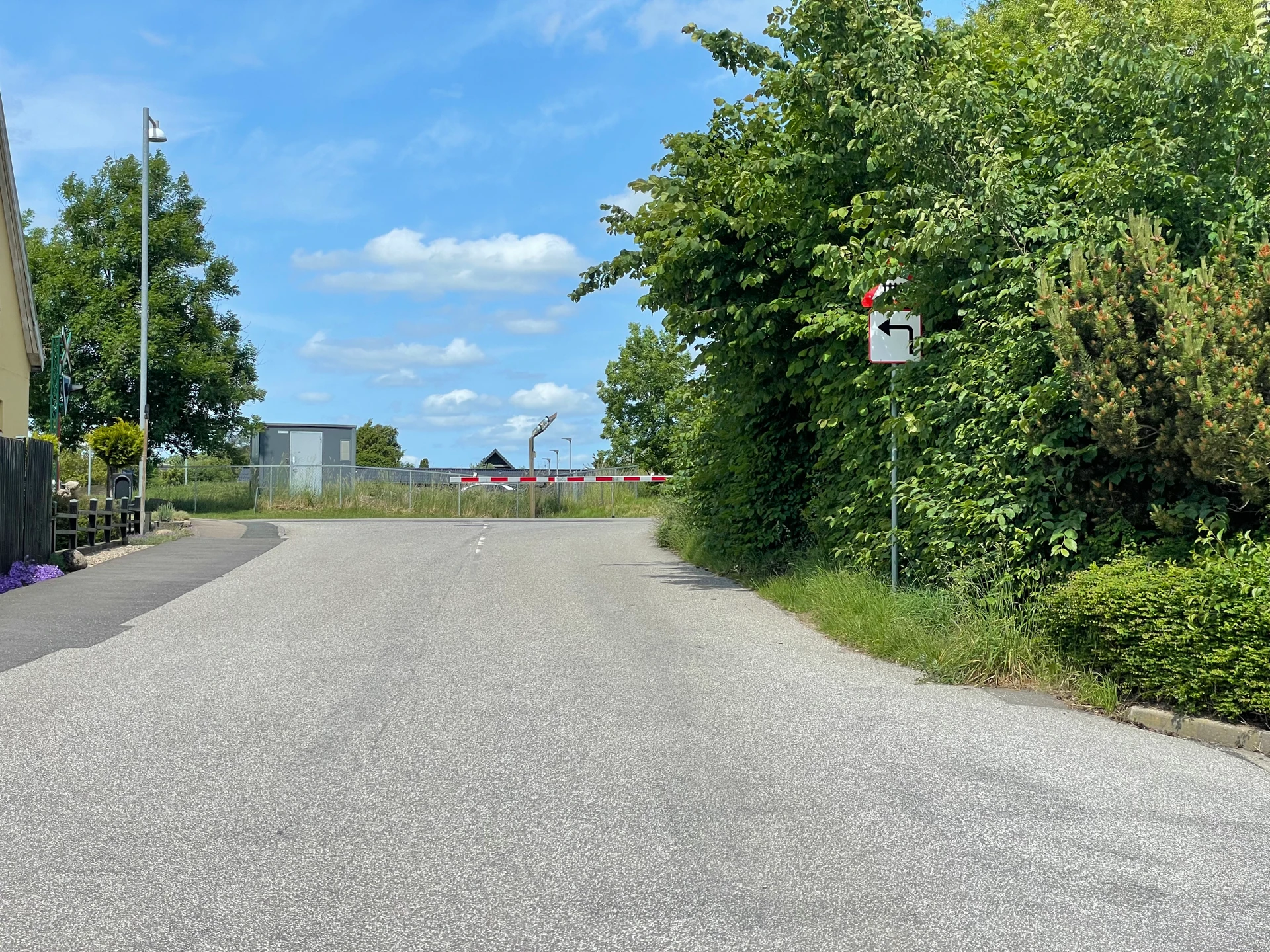 Vejsignal og advarselstavle skjult af bevoksning.