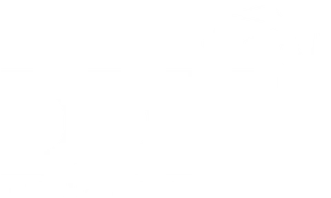 Den Digitale Hotline