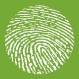Concito Logo
