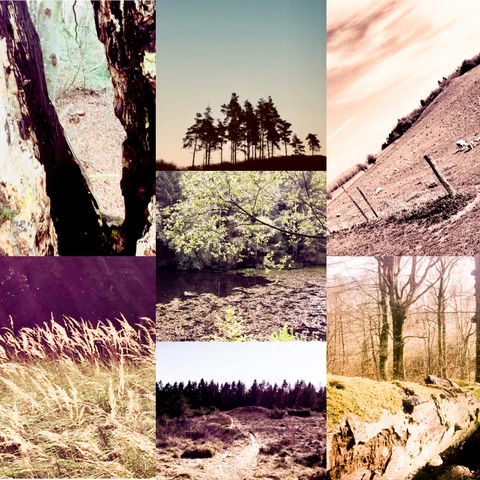 Natur og landskab