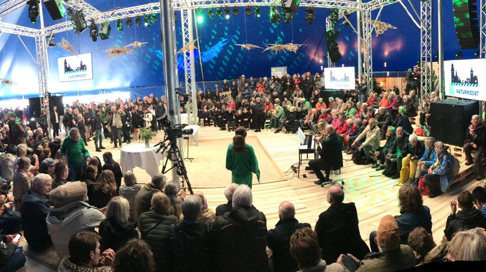 Thunderdome