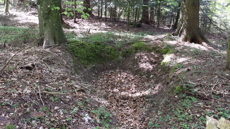Billedet viser Russerhulen i Eskær Skov