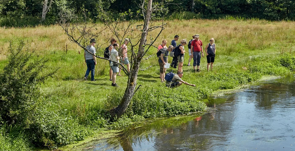 Naturvandring