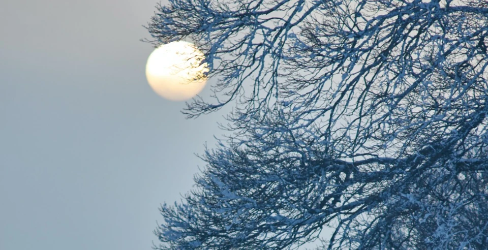 Vor sol er bleven kold