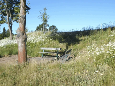 Bænk i Søbæk Have