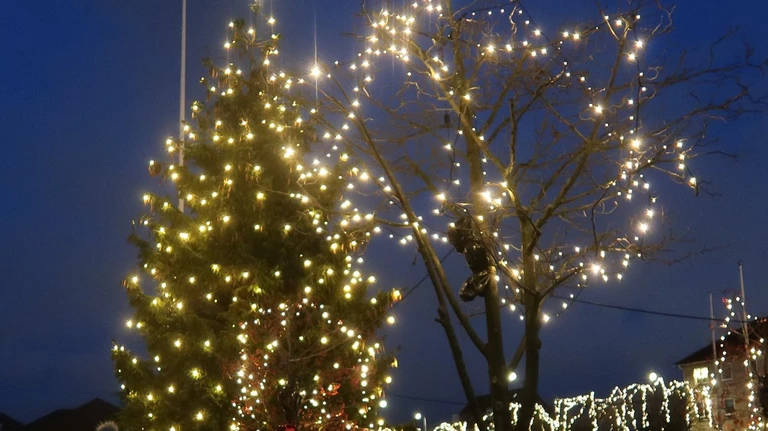 Juletræet ved rådhuset med lys på