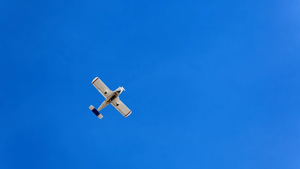 Fly på blå himmel