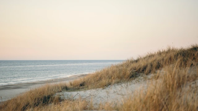 Klitter ved vesterhavet