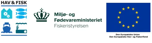 Logoer 
