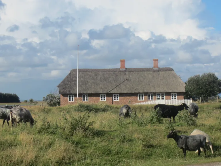 Gjellergård