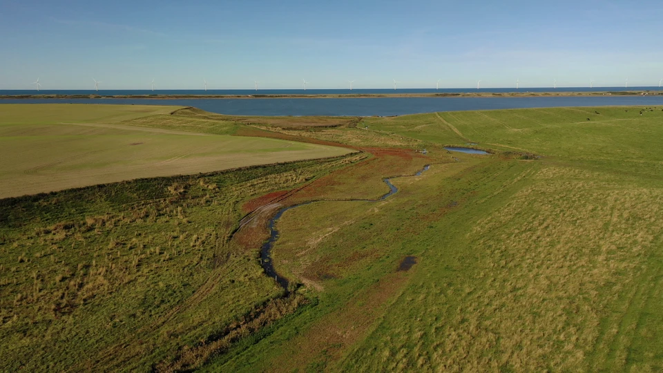 Dronofoto af grydsbæk