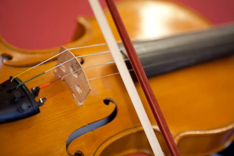 cello
