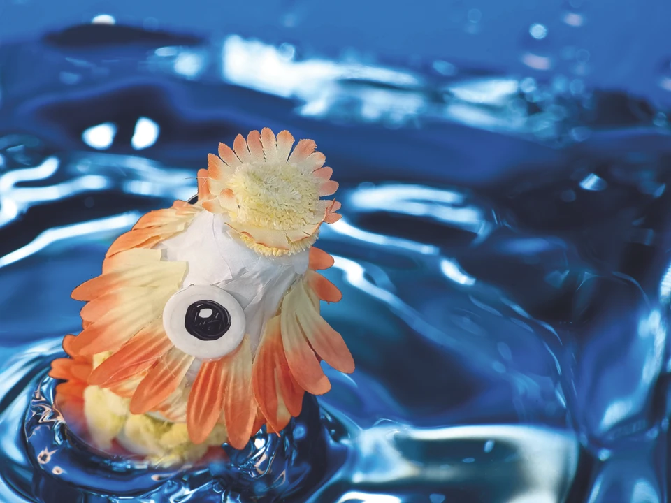 fantasifisk