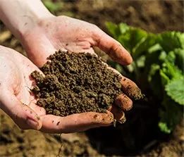 Kompostjord til køkkenhaven