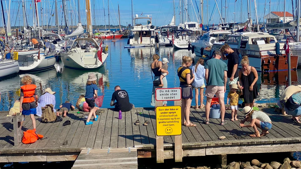 Familier fisker krabber på Tunø Havn