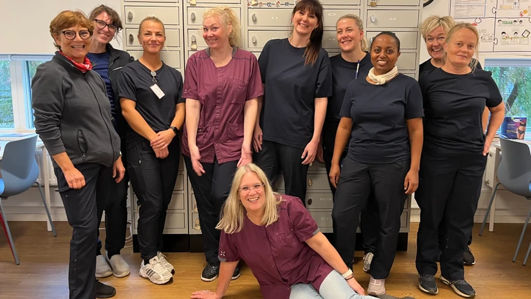 Medarbejdere fra Den Kommunale Hjemmepleje 