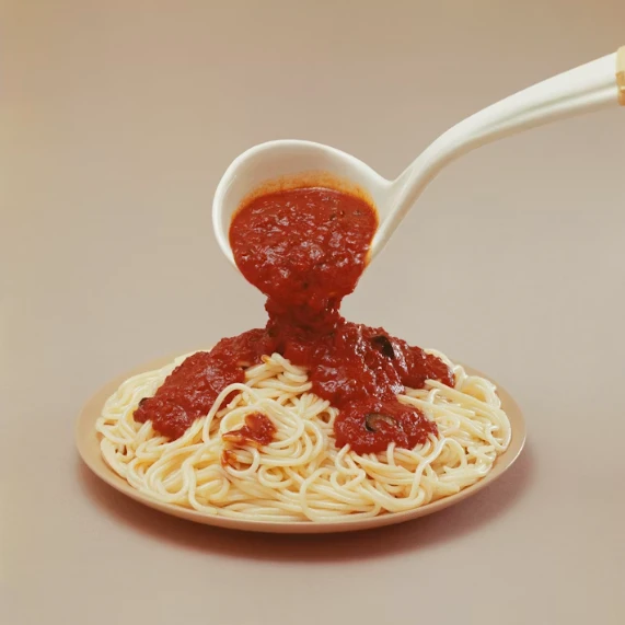 Dagens ret er spaghetti bolognese